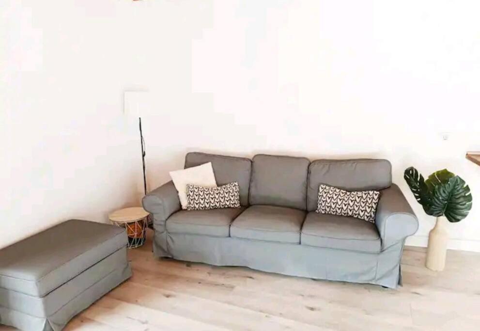 Una Casa Canaria Moderna インヘニオ エクステリア 写真